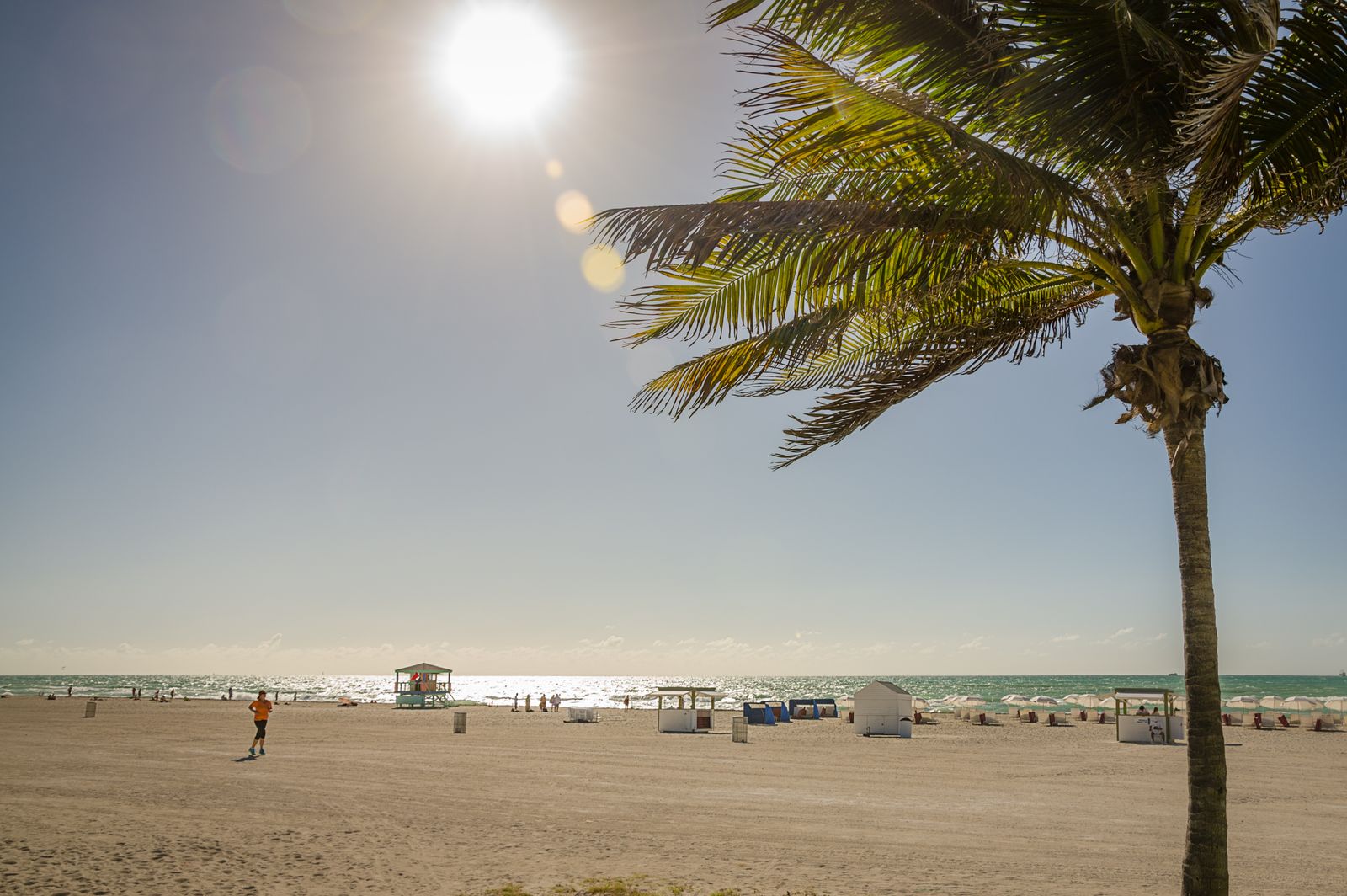 A wide Florida beach with a palm tree and bright sky